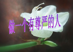 深圳专业合法讨债公司-为了你保卫人格尊严